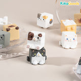 Square Cat Series Blind Bag