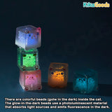 Square Cat Ice Cube Glow In The Dark Series Blind Bag