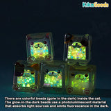 Square Cat Ice Cube Glow In The Dark Series Blind Bag