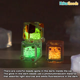 Square Cat Ice Cube Glow In The Dark Series Blind Bag