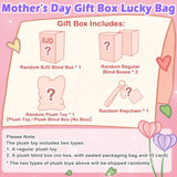 Mother's Day Gift Box Lucky Bag