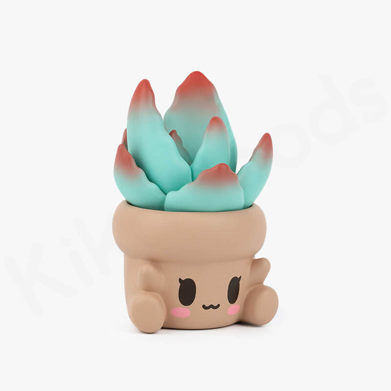 Hugging Succulents Series Blind Box Toys for Girls Cute Figures Action  Model Birthday Gift Guess Blind Bag Random Collection Toys Popular  Collectible